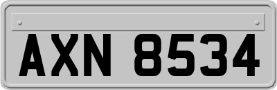 AXN8534