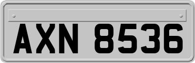 AXN8536