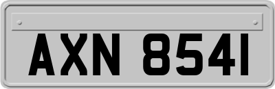 AXN8541