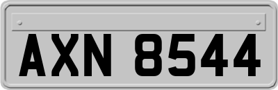 AXN8544