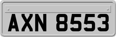 AXN8553