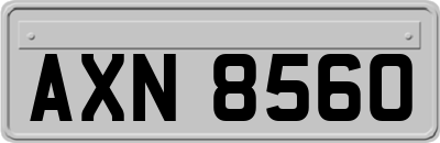 AXN8560