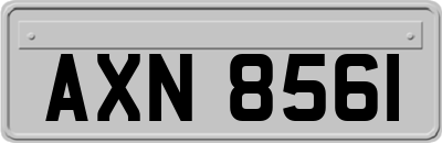 AXN8561