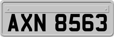 AXN8563