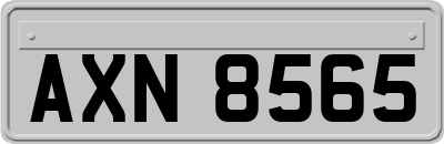 AXN8565