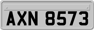 AXN8573