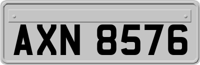 AXN8576