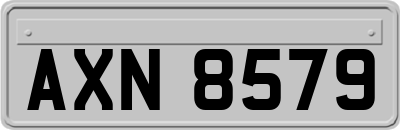 AXN8579