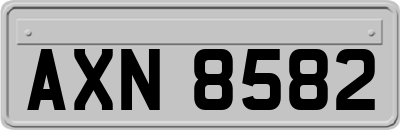 AXN8582