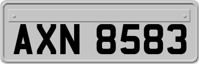 AXN8583
