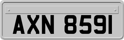 AXN8591