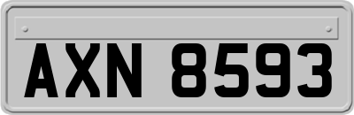 AXN8593