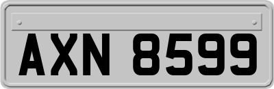 AXN8599