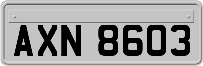 AXN8603