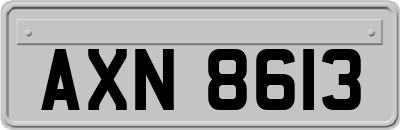 AXN8613