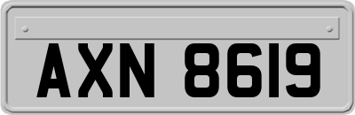 AXN8619