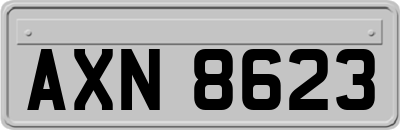 AXN8623