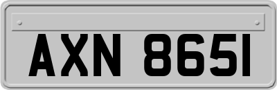 AXN8651
