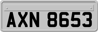 AXN8653