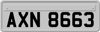 AXN8663