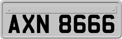 AXN8666