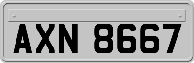 AXN8667