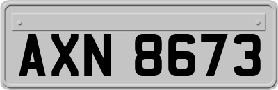 AXN8673