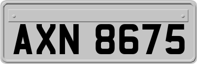 AXN8675
