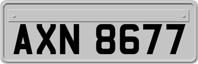 AXN8677