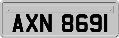 AXN8691