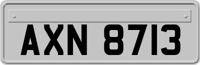 AXN8713