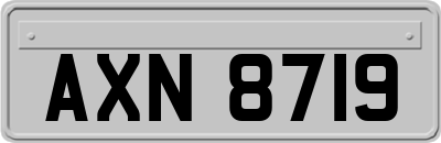AXN8719