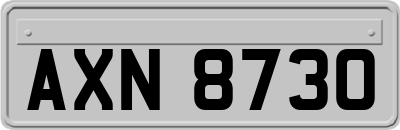 AXN8730