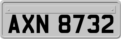 AXN8732