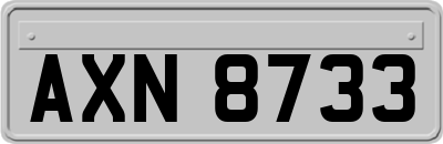 AXN8733