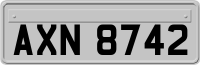 AXN8742