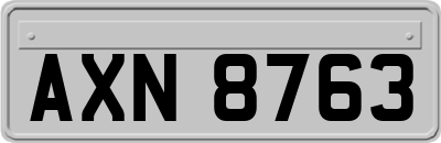 AXN8763