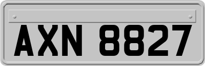 AXN8827