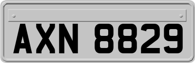 AXN8829