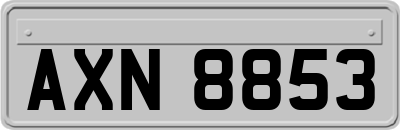 AXN8853