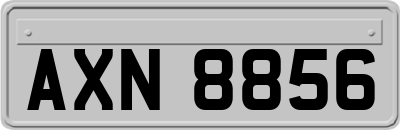 AXN8856