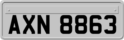 AXN8863