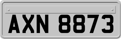 AXN8873