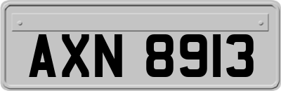 AXN8913