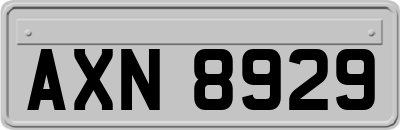 AXN8929
