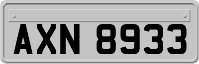 AXN8933