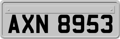 AXN8953