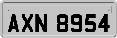 AXN8954