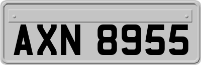 AXN8955
