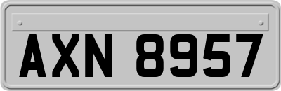 AXN8957